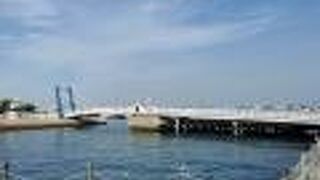 ブルーウィングもじ