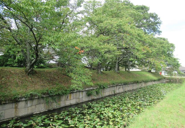 廃藩置県で取り壊されてしまいました