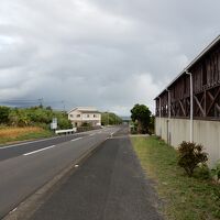 遠くの建物が新館です。手前が本館。