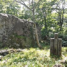 臥竜山山頂。展望所は徒歩数分のところにある。