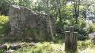 幻想的なブナの巨木の原生林の中を歩く。