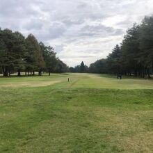 まもなくスタート