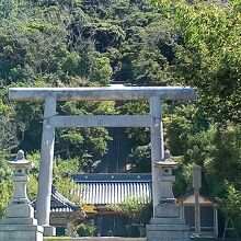 洲崎神社