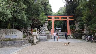 春日大社の総本山