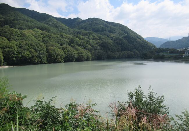 白っぽい緑色の湖です