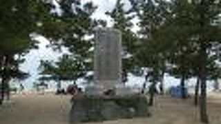 千本黒松と言われる松林の海岸公園