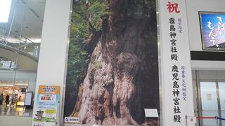 豊かな鹿児島の自然をアピール。