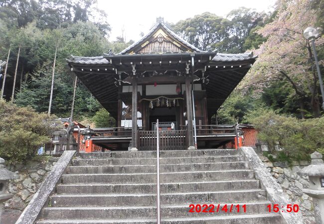 八幡宮の研究 石清水八幡宮（京都）御本社 | 旅人のブログ