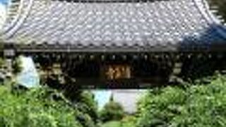 歴史のある山門