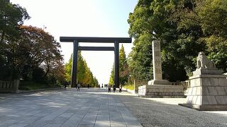 イチョウ並木が美しいです