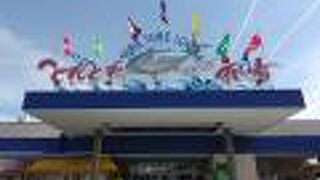 お店がたくさんあります