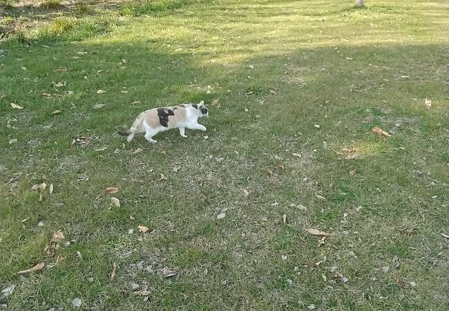 大阪府北部公園事務 所深北緑地