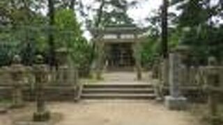 天橋立の途中にひっそりと建つ、恋愛成就のパワースポット