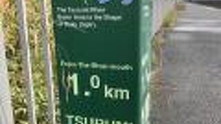 距離表示もあるので、多くのジョガーが走っています。