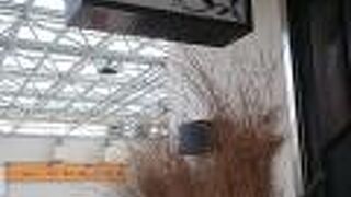 生姜料理 しょうが