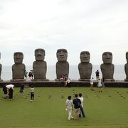 モアイ像に出会えます！