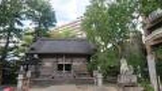 台風一過の、9月中旬の平日午後に訪問