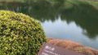 桜田濠の井戸！