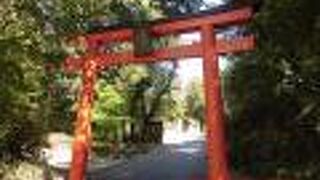 拝殿、天満宮、本殿と続き、奥の院には竹釼稲荷神社