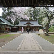 神門をくぐった正面に見えてくる本社拝殿は風格あり。