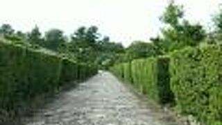 必見のスポットです