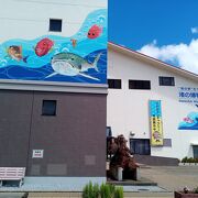 建物の後ろは館山湾