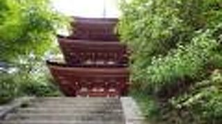 風流な趣ある庭園の浄瑠璃寺