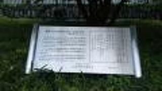 サトウハチローさんに縁のある木