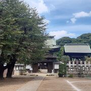 結城市の中で一番立派なお寺