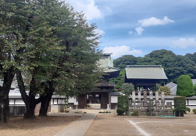 結城市の中で一番立派なお寺