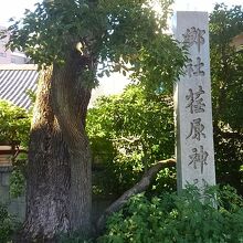 荏原神社