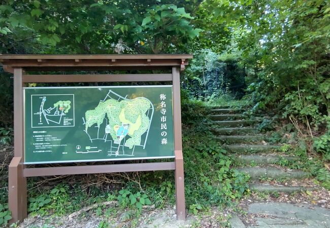 称名寺を3/4周囲む低山の森