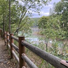 池の周りには柵と歩道が造られています。