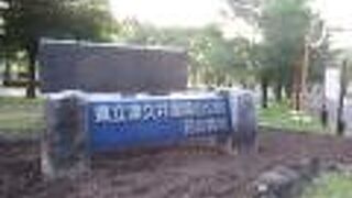 ピクニックの基地です