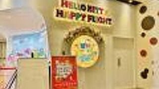 フライトパークは休止中