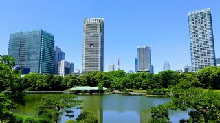 見どころがたっぷり