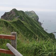 途中から先端方面を望む