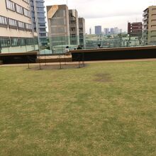 南側の芝生の広場