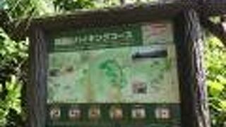 途中から通行止めに