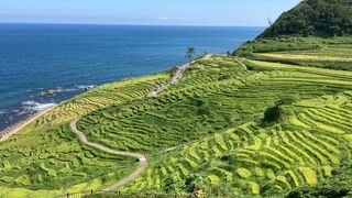 一見の価値はあり！