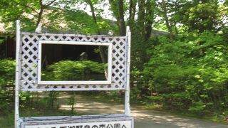 鳥の鳴き声がします