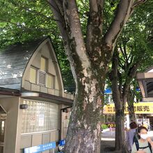 多くの人が行き交う