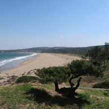 大須賀海岸