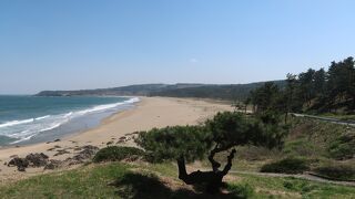 県道１号線に沿って続く白い砂浜