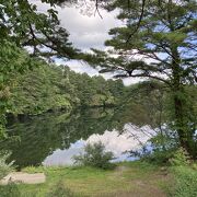 物産館から見える沼