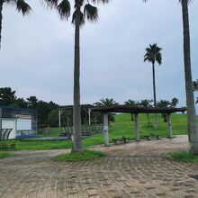 広野海岸公園