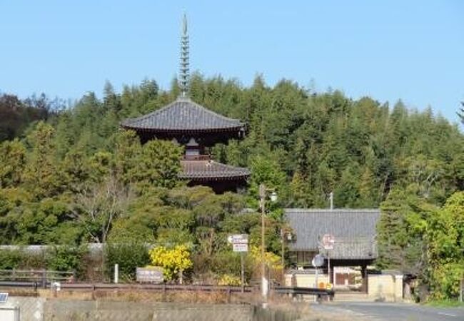 2020年12月法輪寺♪