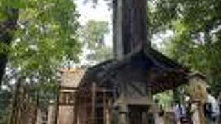 長い石段を上がった先