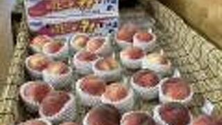 大きな綺麗な道の駅