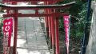 鳥居がいっぱい